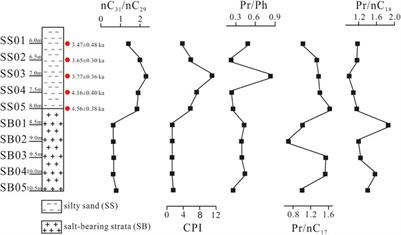 Nature of Volatile Organic Matter in Lake Sediments as a Reflection of Paleoclimate Changes Occurring at 4 ka in the Central Qaidam Basin